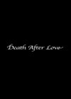 Death After Love (2012).jpg